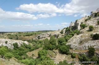 ntana Paradiso-15-05-2014 17-44-49